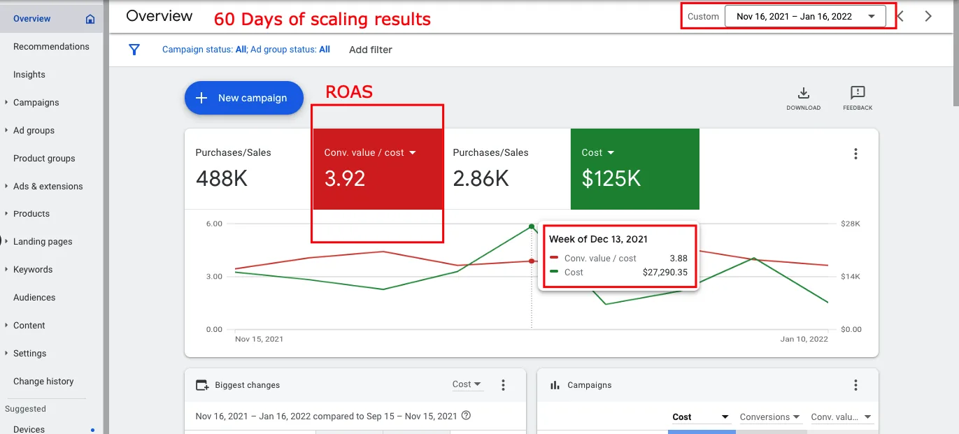 Muir Way Google Ads performance results