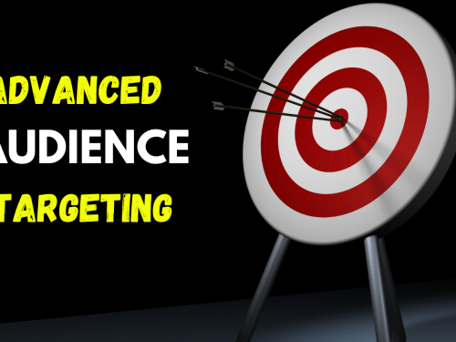 PPC Audience Targeting: Why Does Your Business Need It?